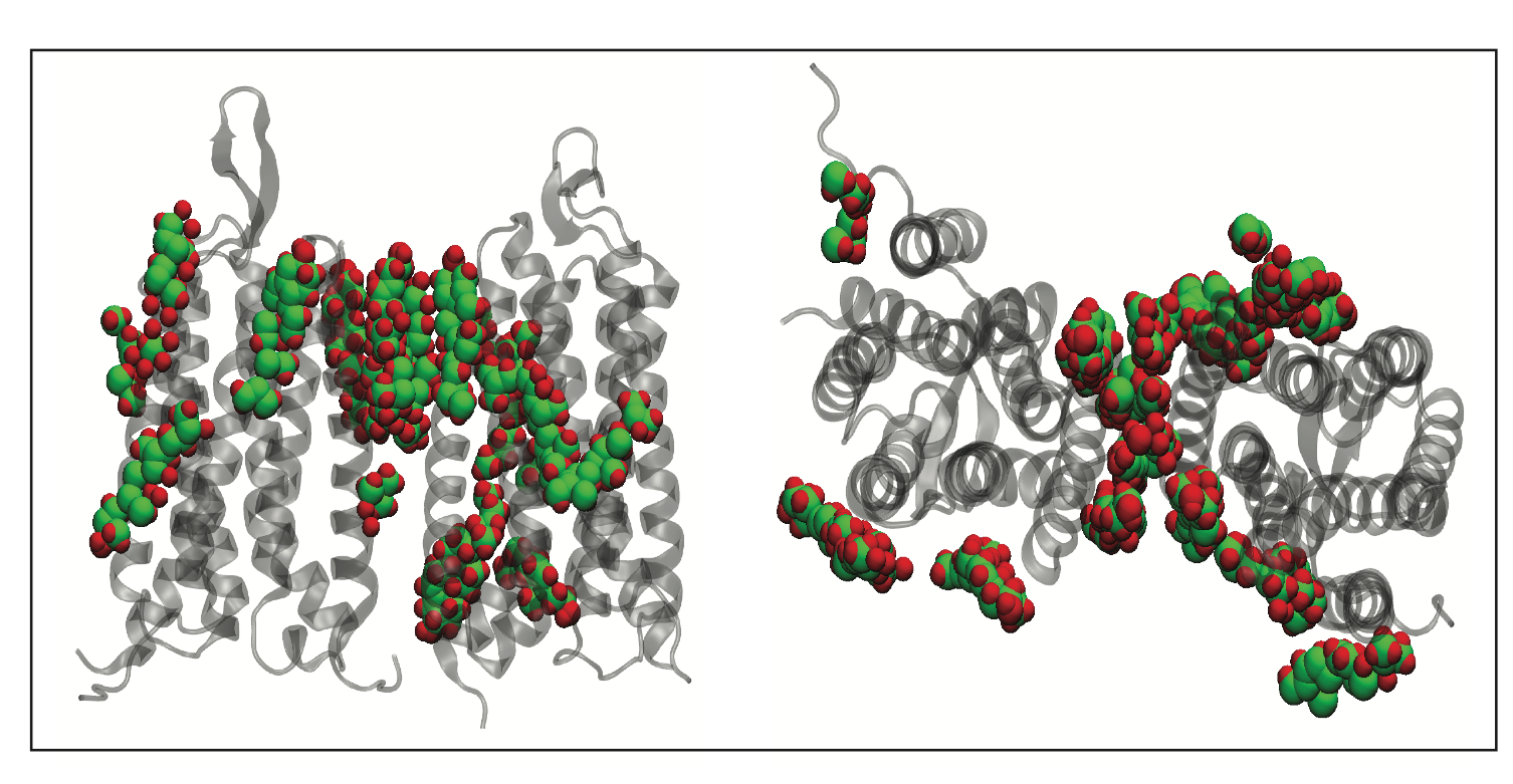 Cholesterol - GPCR interactions characterized using MD simulation