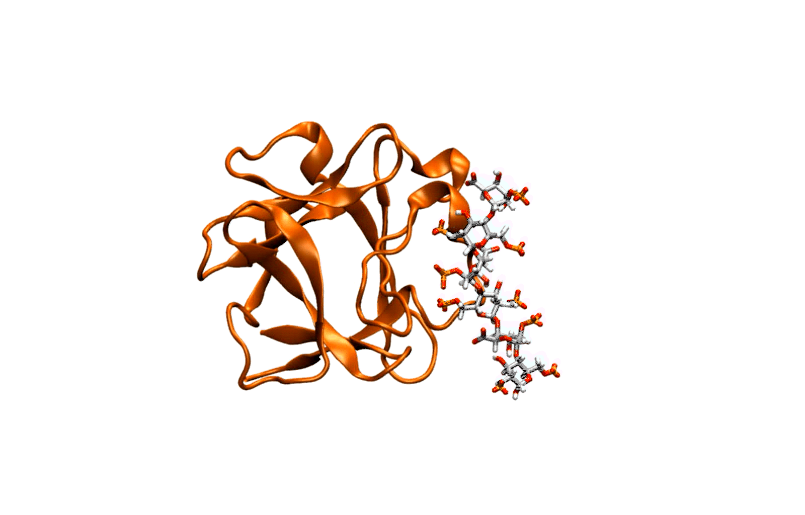 FGF Proteins